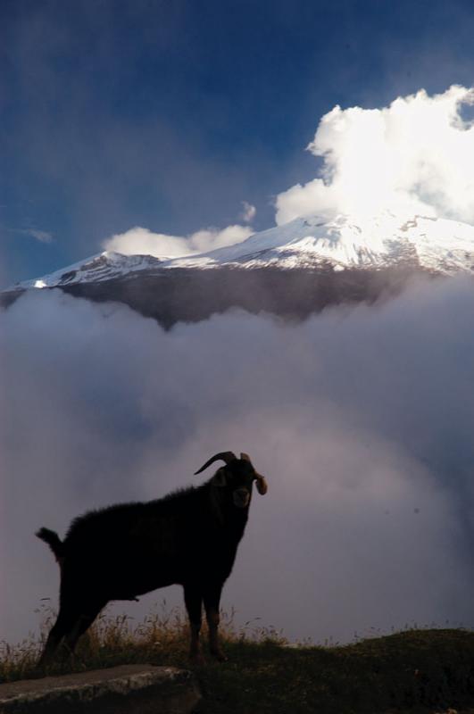 Nevado del Ruiz, Manizales, Caldas, Colombia