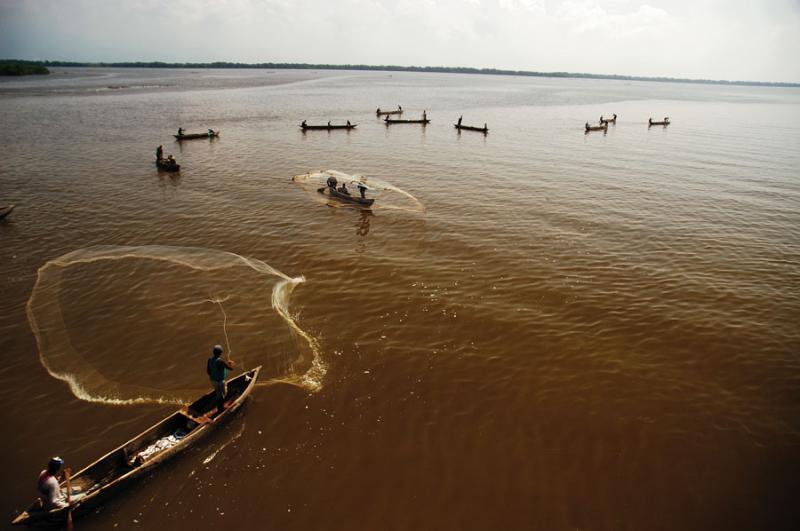 Cienaga Grande de Santa Marta, Magdalena, Colombia