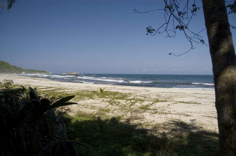 Playa Arrecife, Tayrona, Santa Marta, Magdalena, C...