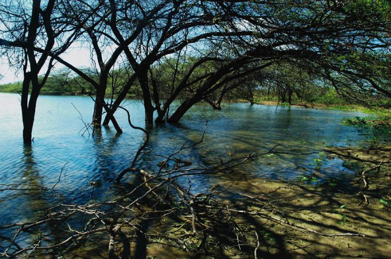 Paisaje Natural de la Guajira, Colombia