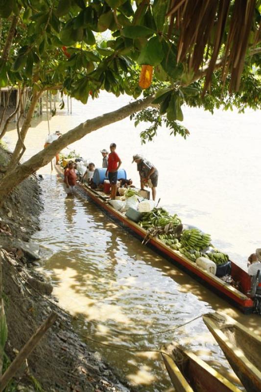 Canoa Tradicional, Rio San Jorge, Montelibano, Cor...