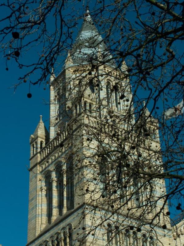 Museo de Historia Natural, Londres, Reino Unido, G...