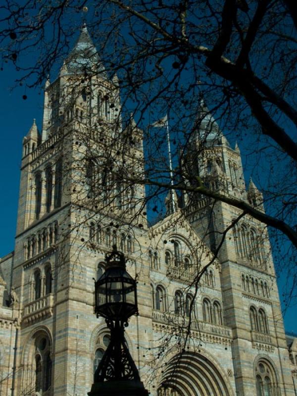 Museo de Historia Natural, Londres, Reino Unido, G...