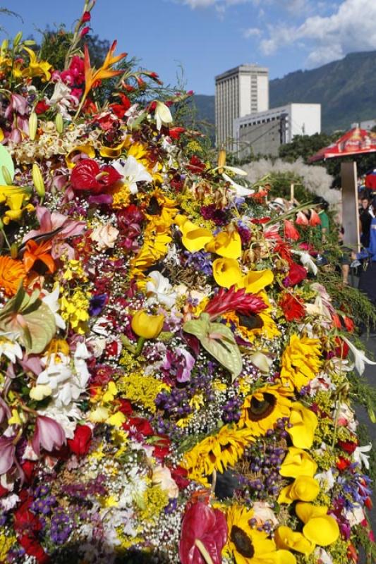 Desfile de Silleteros, Medellin, Antioquia, Colomb...