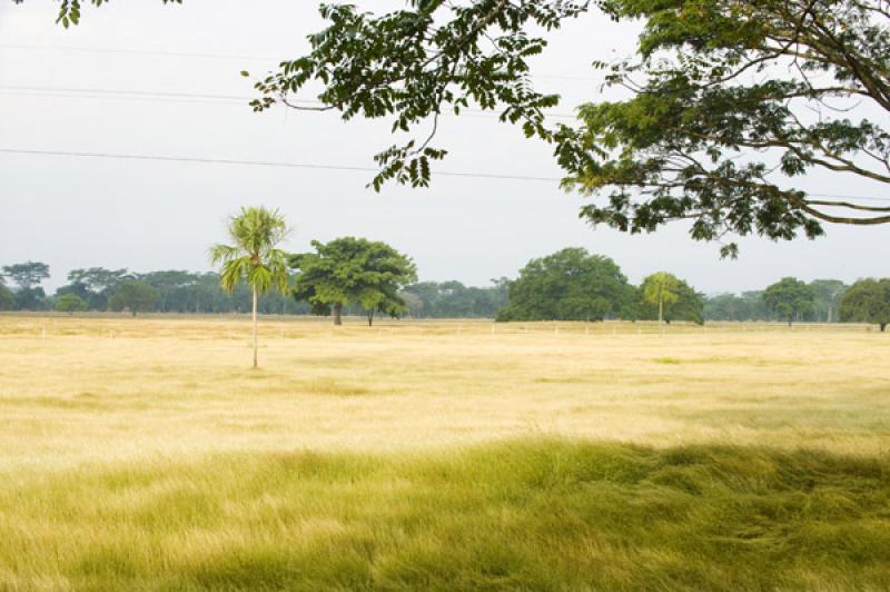 Paisaje de Valledupar, Cesar, Colombia