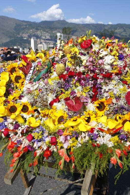 Desfile de Silleteros, Medellin, Antioquia, Colomb...