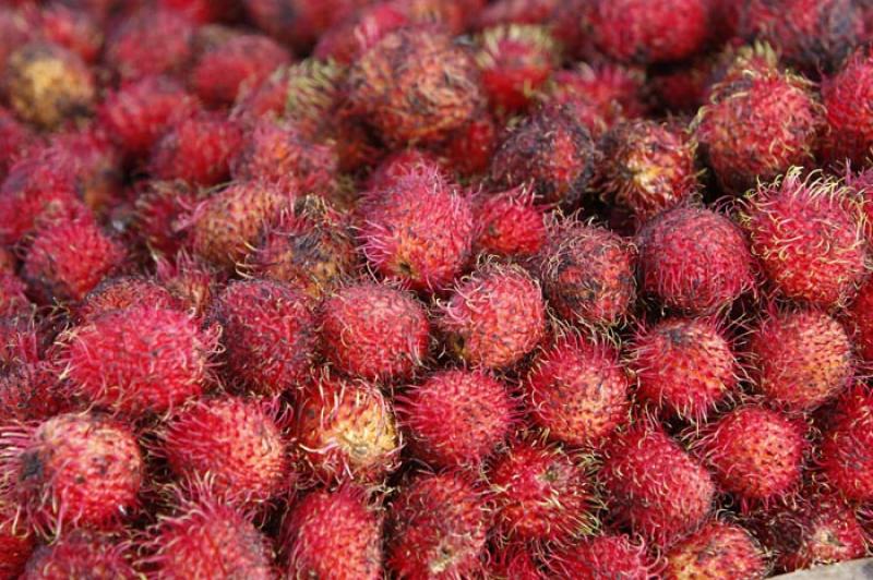 Rambutan, Tailandia, Bangkok, Asia