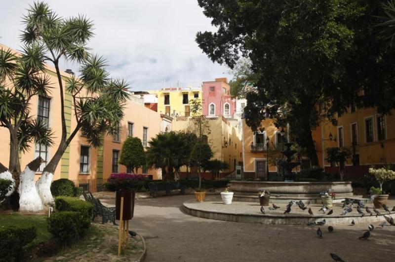 Jardin Reforma, Guanajuato, Mexico, America