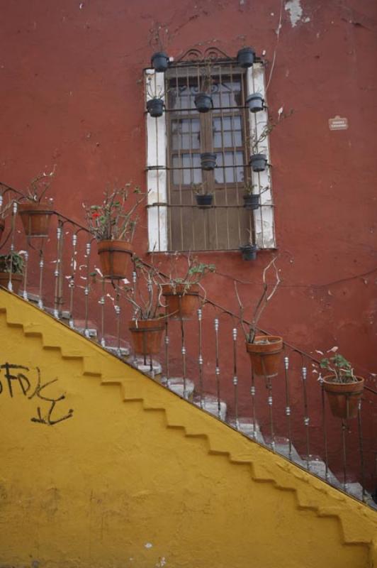 Escala con Macetas, Guanajuato, Mexico, America