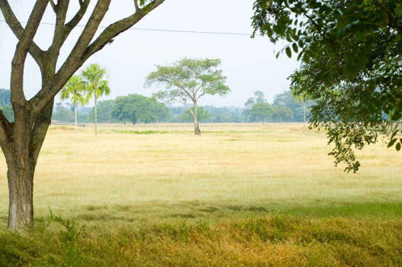 Paisaje de Valledupar, Cesar, Colombia