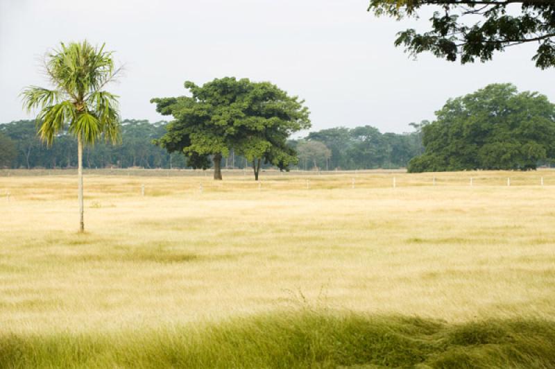 Paisaje de Valledupar, Cesar, Colombia