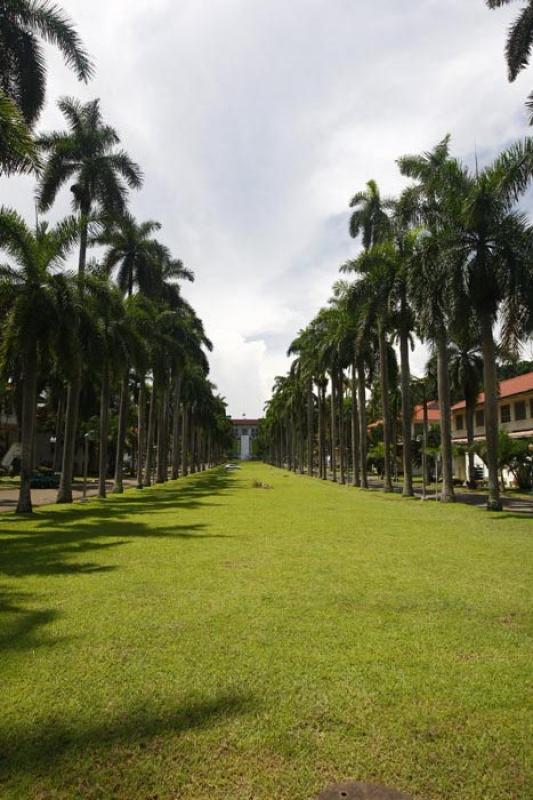 Paisaje en Panama, America Central