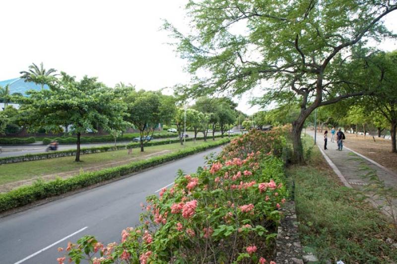 El Malecon, Cucuta, Norte de Santander, Colombia