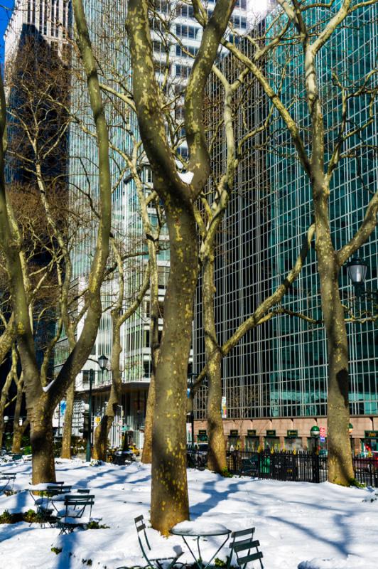 Bryant Park, Midtown, Manhattan, Nueva York, Estad...