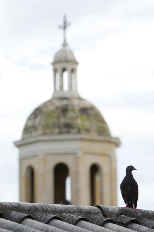 Campanario de la Catedral de San Jose de Cucuta, N...