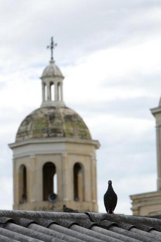 Campanario de la Catedral de San Jose de Cucuta, N...