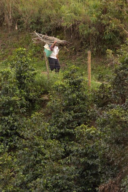 Campesino de Huila, Neiva, Colombia