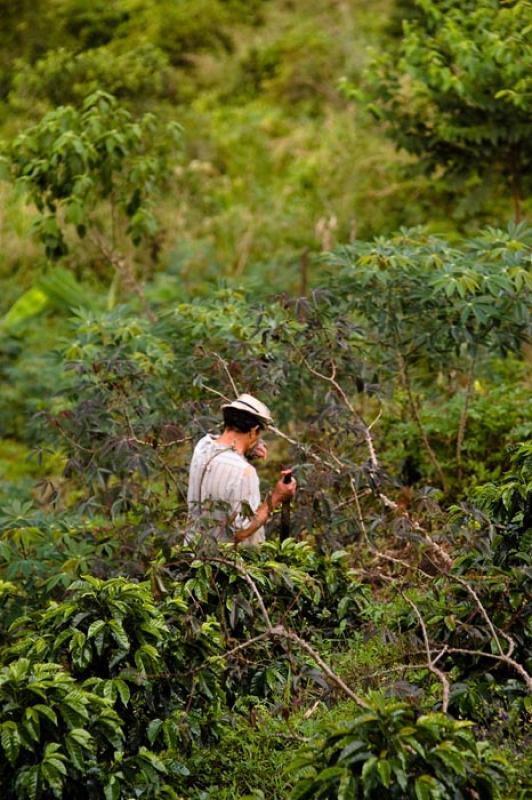 Campesino de Huila, Neiva, Colombia