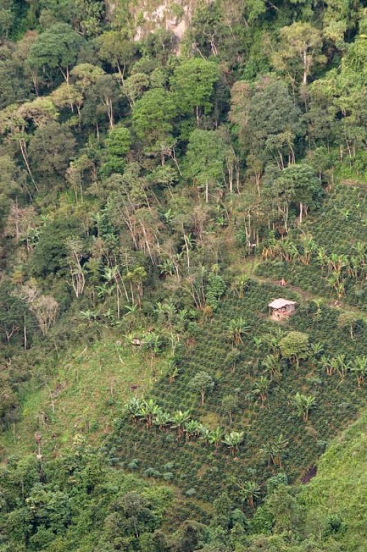 Paisaje de Huila, Neiva, Colombia