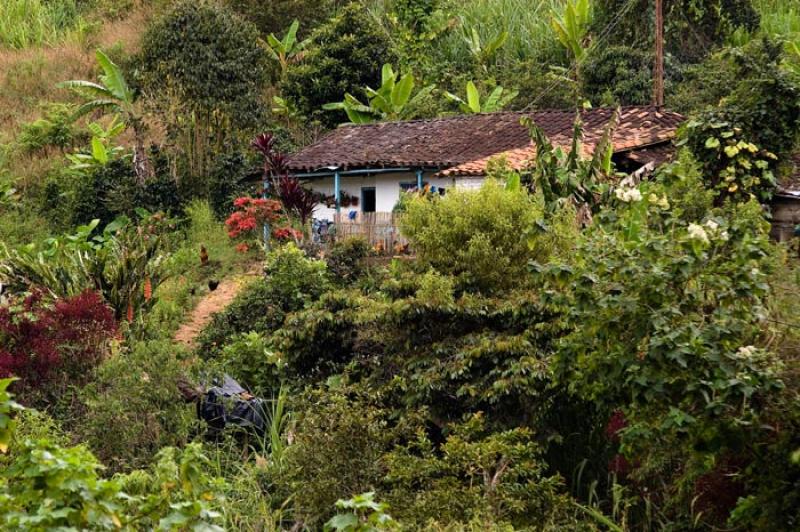 Vivienda Traditicional, Huila, Neiva, Colombia