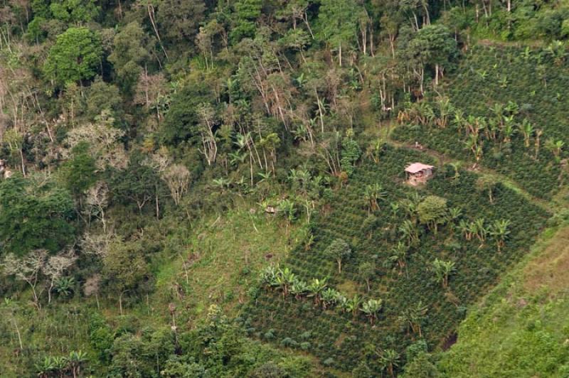 Paisaje de Huila, Neiva, Colombia