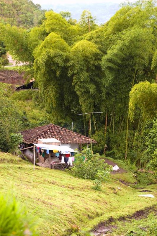 Vivienda Traditicional, Huila, Neiva, Colombia