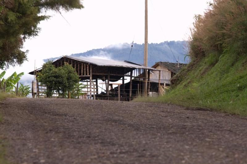 Fabrica de Ladrillos Artesanal, Huila, Neiva, Colo...