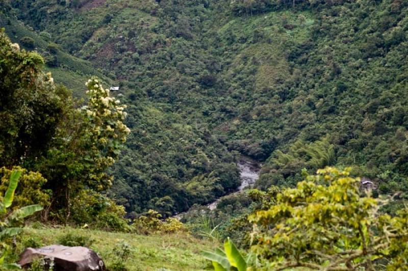 Estrecho del Magdalena, San Agustin, Huila, Neiva,...