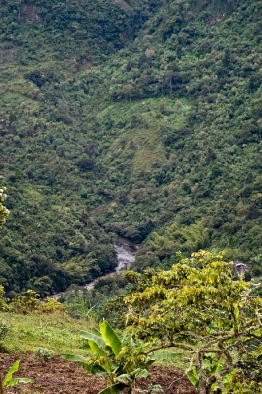 Estrecho del Magdalena, San Agustin, Huila, Neiva,...