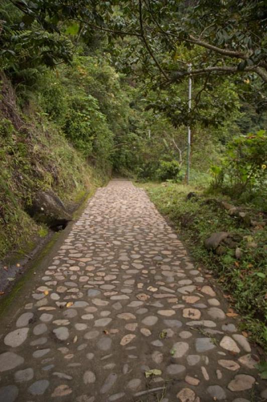 Camino en el Campo, Huila, Neiva, Colombia