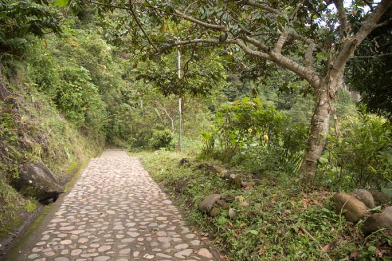 Camino en el Campo, Huila, Neiva, Colombia