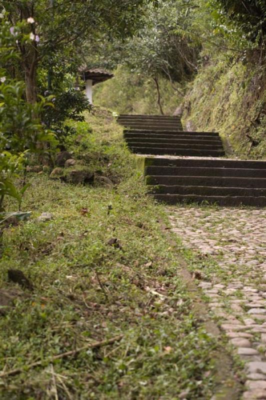 Camino en el Campo, Huila, Neiva, Colombia