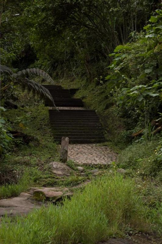 Camino en el Campo, Huila, Neiva, Colombia