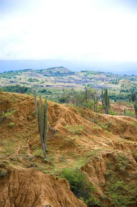 Desierto de la Tatacoa, Huila, Neiva, Colombia