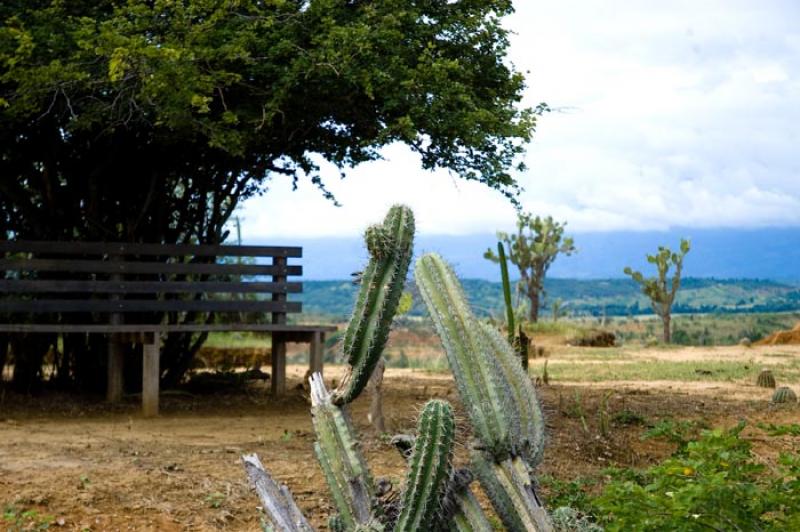 Desierto de la Tatacoa, Huila, Neiva, Colombia