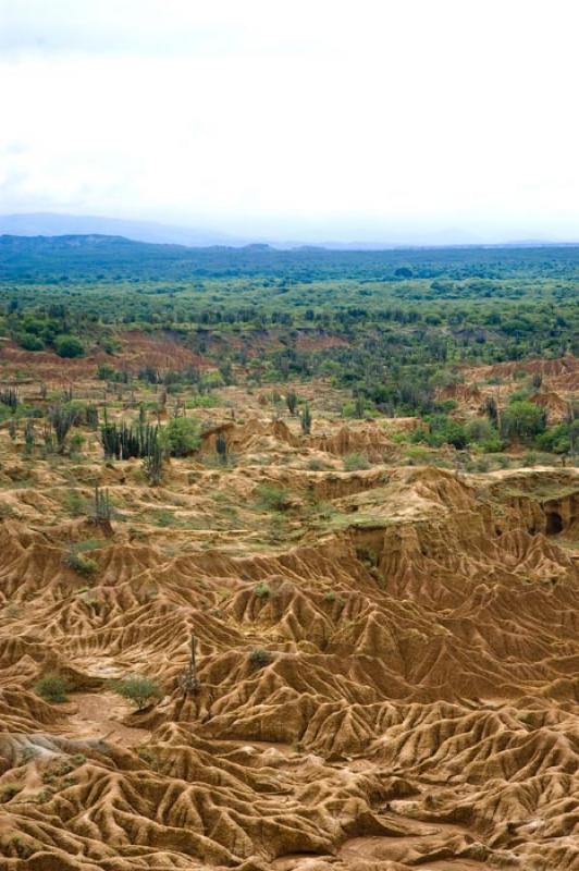 Desierto de la Tatacoa, Huila, Neiva, Colombia