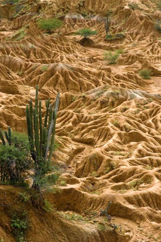 Desierto de la Tatacoa, Huila, Neiva, Colombia