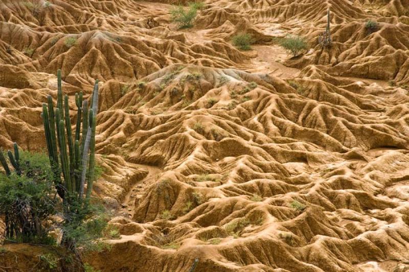 Desierto de la Tatacoa, Huila, Neiva, Colombia