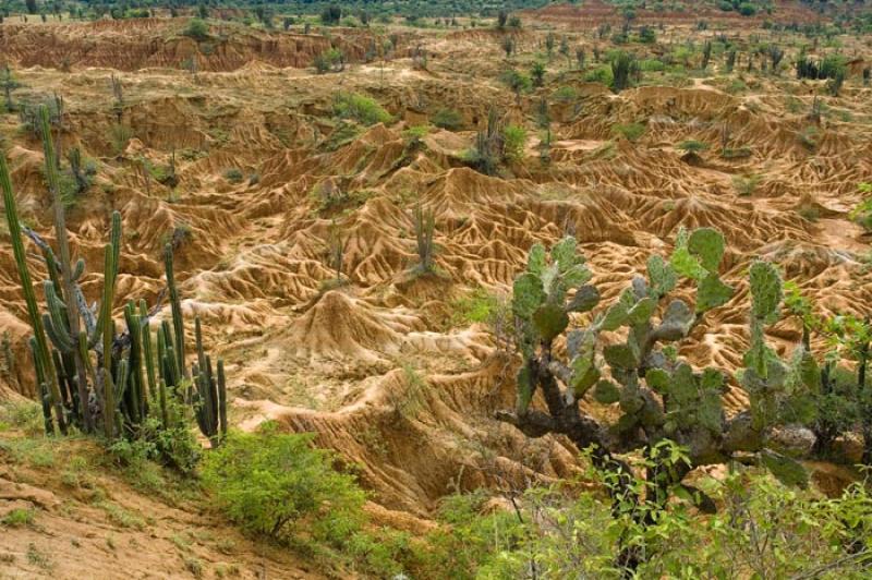 Desierto de la Tatacoa, Huila, Neiva, Colombia