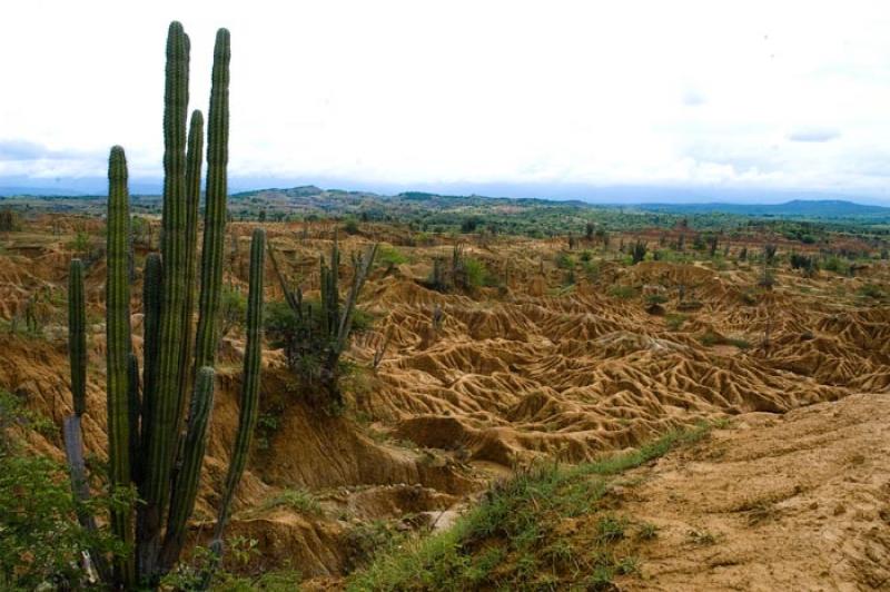 Desierto de la Tatacoa, Huila, Neiva, Colombia