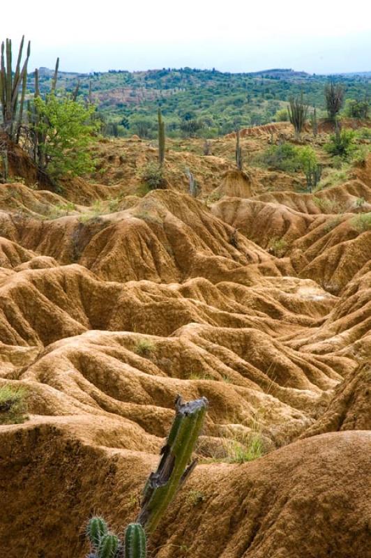 Desierto de la Tatacoa, Huila, Neiva, Colombia