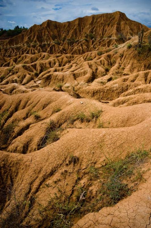 Desierto de la Tatacoa, Huila, Neiva, Colombia