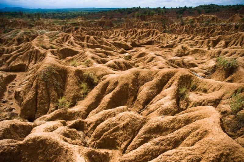 Desierto de la Tatacoa, Huila, Neiva, Colombia