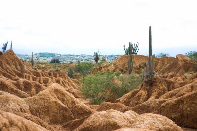 Desierto de la Tatacoa, Huila, Neiva, Colombia