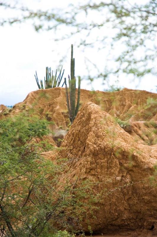 Desierto de la Tatacoa, Huila, Neiva, Colombia