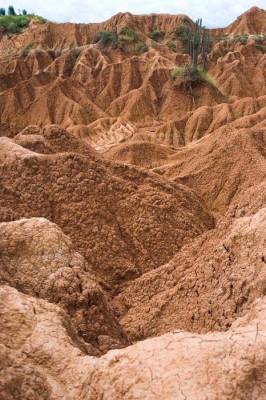 Desierto de la Tatacoa, Huila, Neiva, Colombia