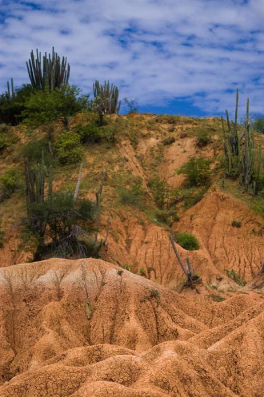 Desierto de la Tatacoa, Huila, Neiva, Colombia