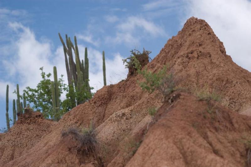 Desierto de la Tatacoa, Huila, Neiva, Colombia