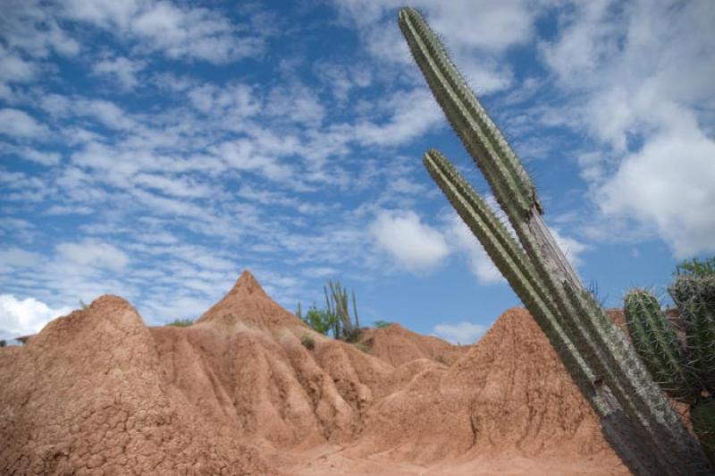 Desierto de la Tatacoa, Huila, Neiva, Colombia