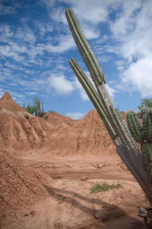 Desierto de la Tatacoa, Huila, Neiva, Colombia